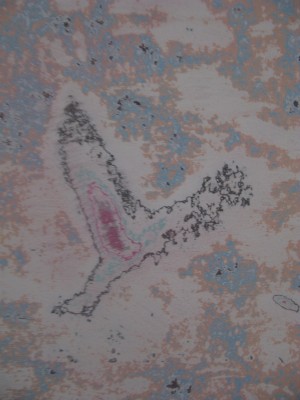 Show La formació d'un museu_day 2_4