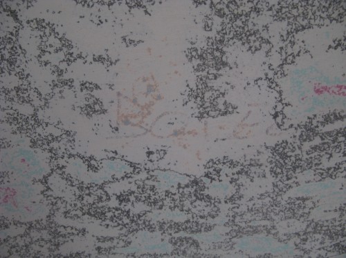 Show La formació d'un museu_day 2_6