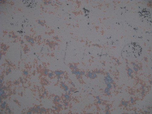 Show La formació d'un museu_day 2_7