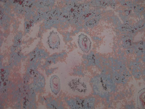 Show La formació d'un museu_day 2_5