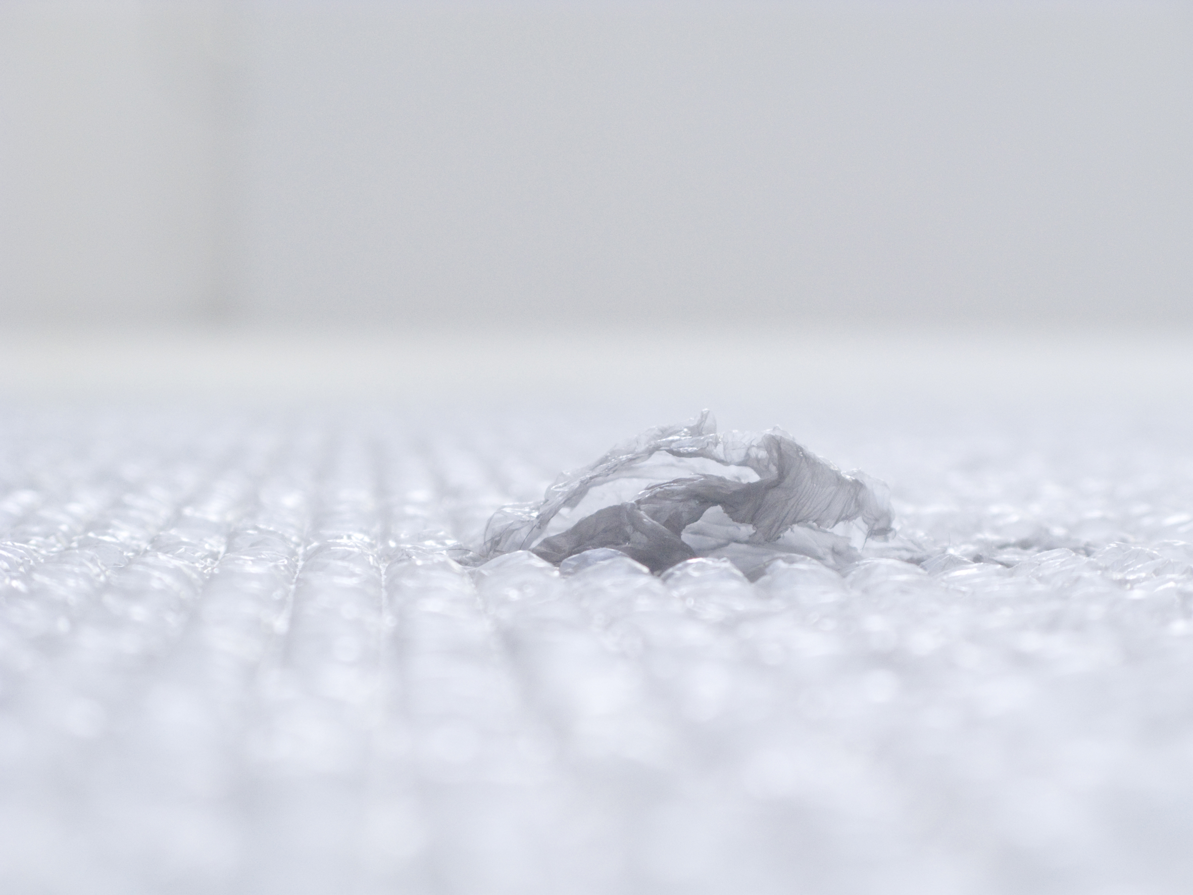 ABANS QUE ELS GESTOS ESDEVINGUIN PARAULES. Mireia c. Saladrigues at La BF15, 2014 Exhibition views_140919_05