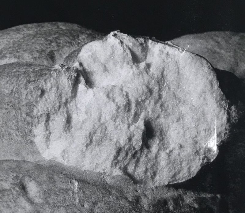 Photo 25-10-2018, 12 05 30 copy