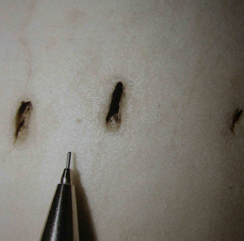 DSC_0326-copy_taròli-selection_WEB